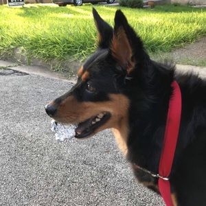 Meet your Posher, Heather